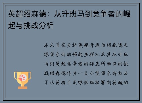 英超绍森德：从升班马到竞争者的崛起与挑战分析